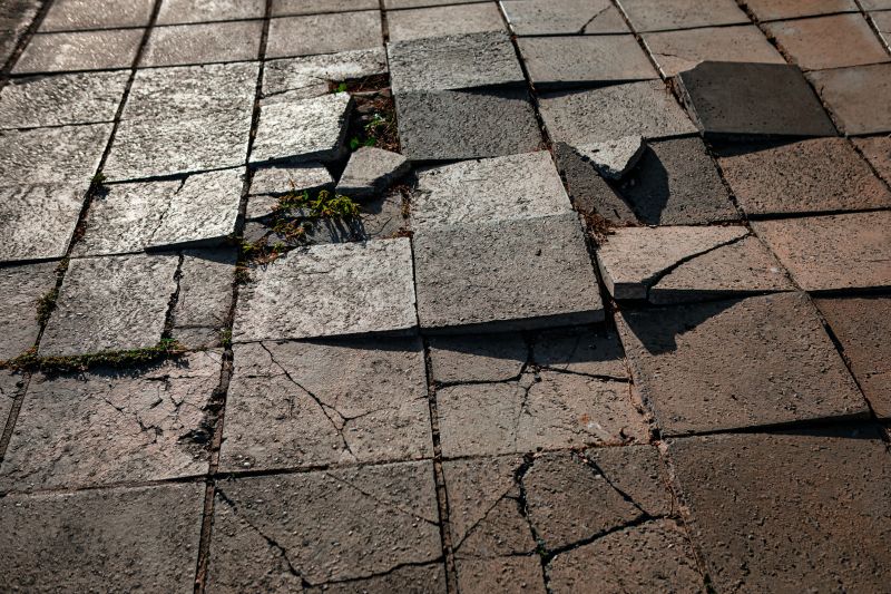 Cracked Paving Stone Repair